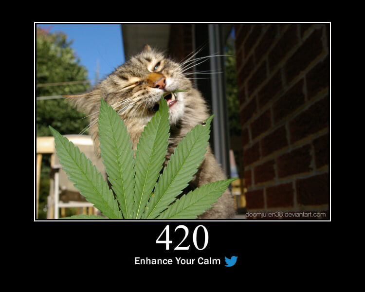 420 Enhance Your Calm